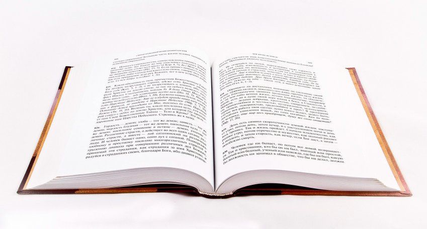 Dominar la Constitución Española