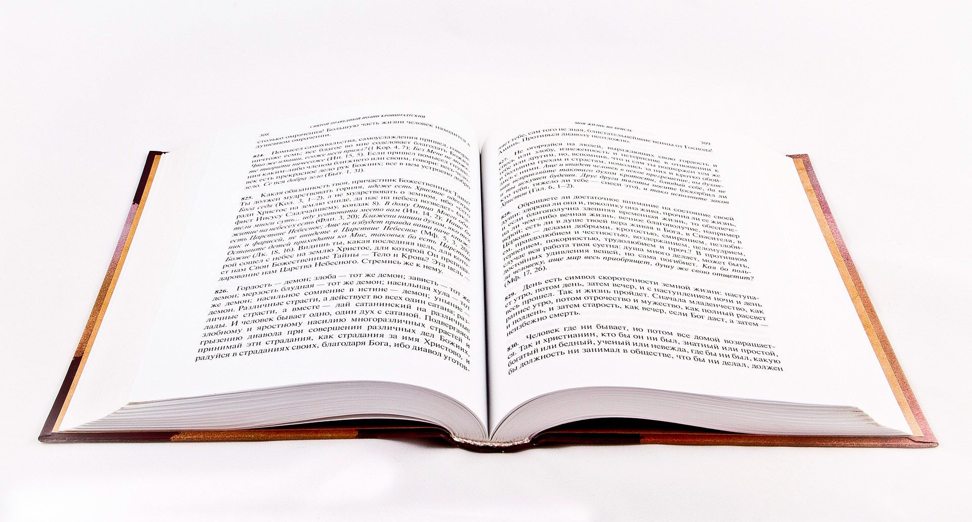 Dominar la Constitución Española